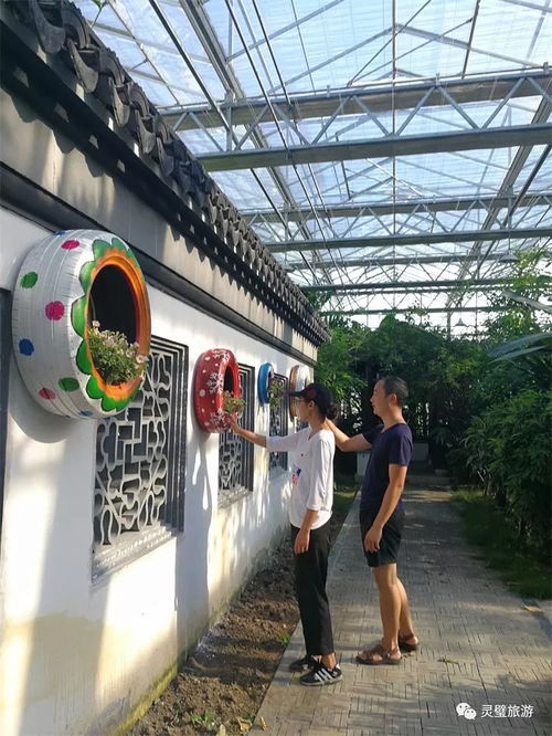 關(guān)于奇石文化園暫停開放的最新通知